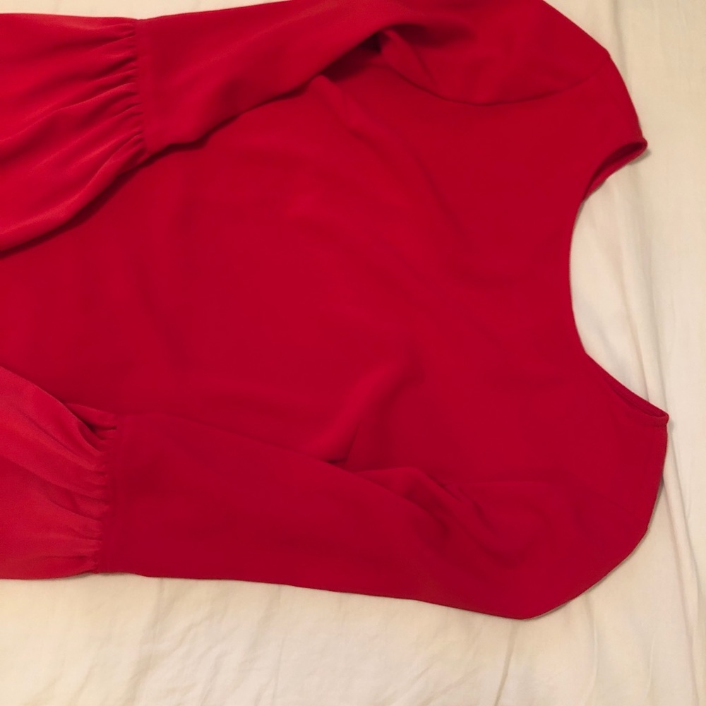 Cremieux Ruffle sleeve dress